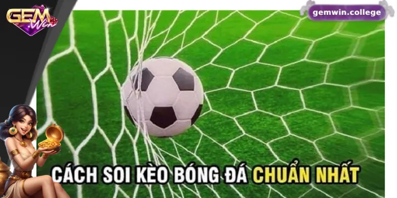 Kinh Nghiệm Soi Kèo Bundesliga Hiệu Quả Từ Cao Thủ Cá Cược Bí quyết cá cược hiệu quả từ cao thủ